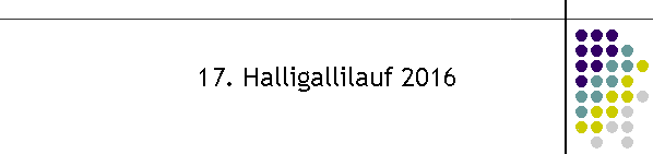 17. Halligallilauf 2016